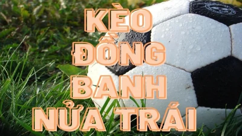 Cược đồng banh nửa trái