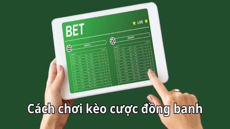 Hướng dẫn bạn cách cá cược bóng đá với kèo cược đồng banh